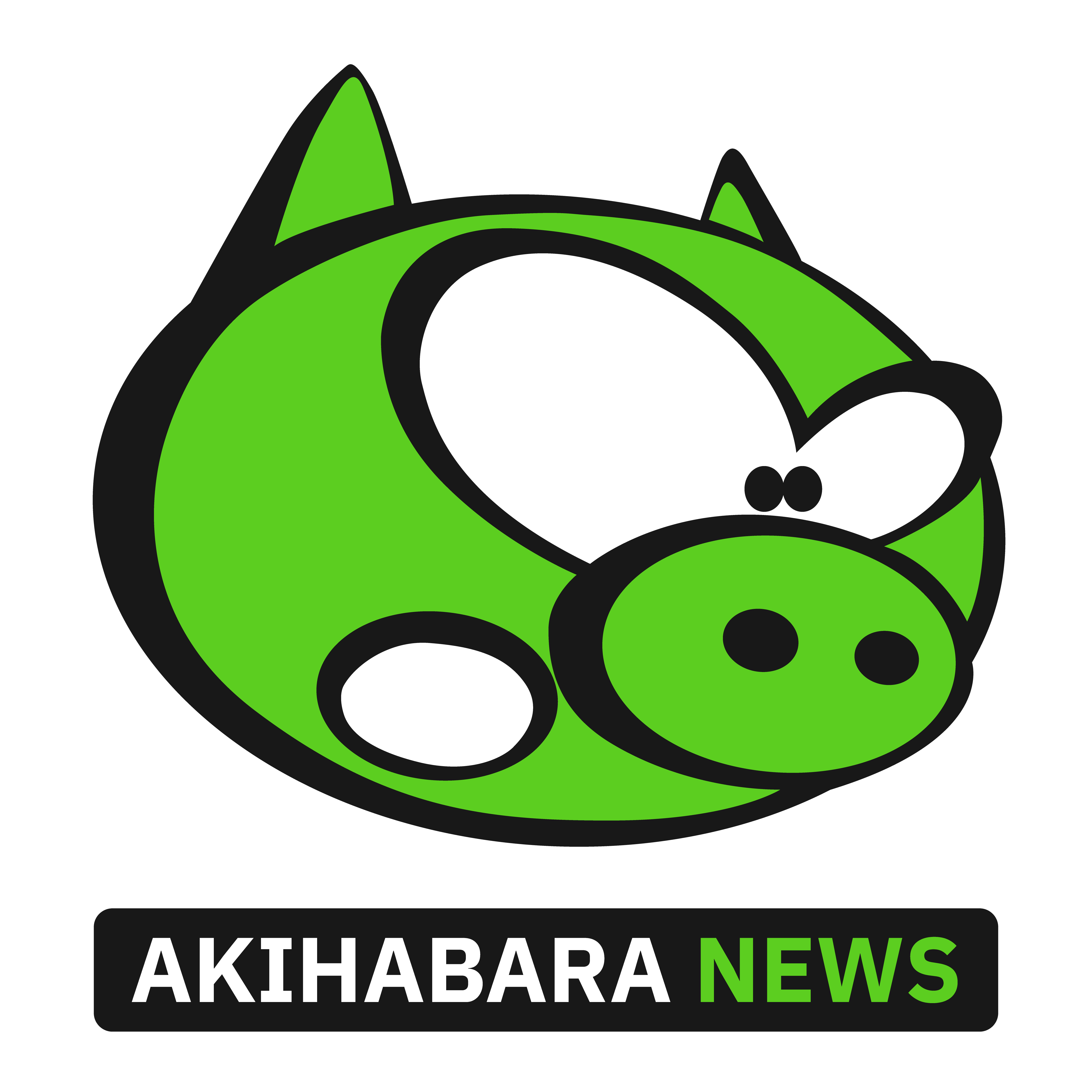 (c) Akihabaranews.com